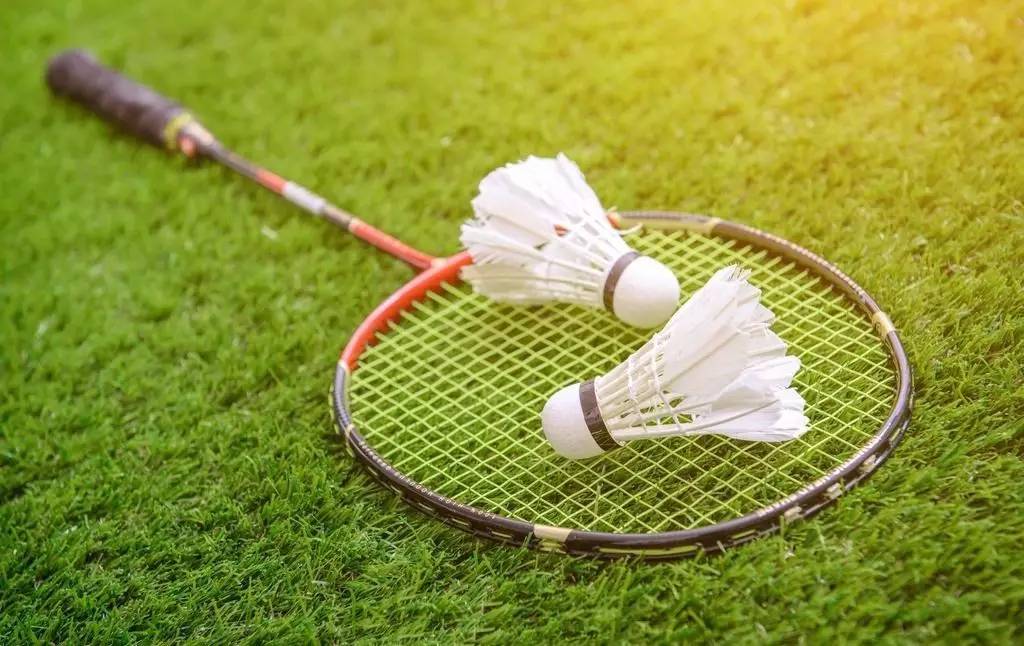 这一评价引 这一评价引